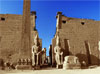 Temple de Louxor - Colonne de Ramses