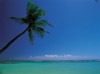 ile martinique