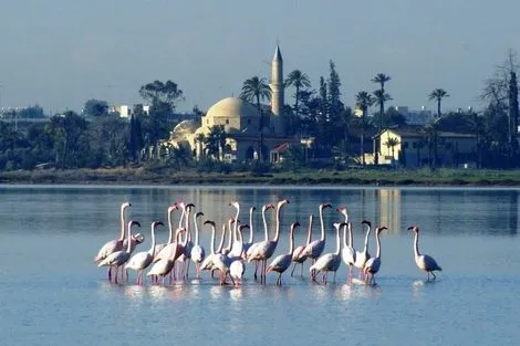 Voyage Chypre, Autotour�Larnaca : Autotour Est Ouest du Bien-Etre Protaras/Paphos 4*
