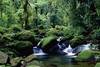 Costa Rica - San jose, 10 JOURS / 8 NUITS - Circuit Sur les Chemins du Costa Rica