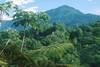 Costa Rica - San jose, 15 JOURS / 13 NUITS - Autotour Les Sentiers du Costa Rica