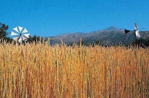 Vacances Heraklion: Autotour Toute la Crète