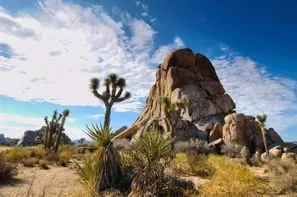 Vacances Los Angeles: Autotour Best Of The West