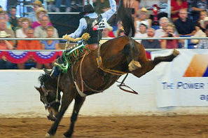 Etats-Unis-New Orleans, Autotour Cowboys et bayou