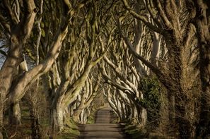 Irlande-Dublin, Autotour Winter is coming