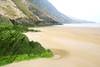 Donegal