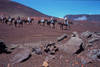 Randonnée à cheval sur le Piton de la Fournaise