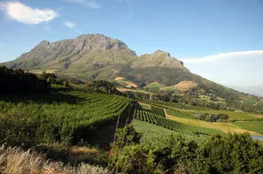 Afrique Du Sud-Johannesbourg, Circuit Safari Dream + Ext Le Cap