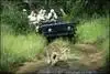 Parc Kruger - Aventure Sud Africaine