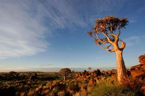 Afrique Du Sud-Johannesbourg, Circuit Safari Dream