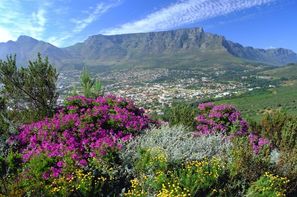 Vacances Le Cap: Circuit Paysages sud-africains