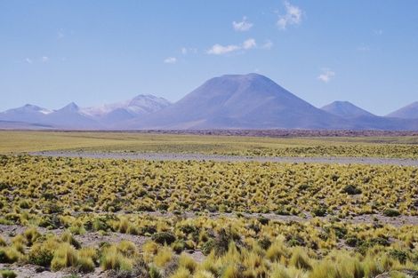 priaire - Lumieres et grandeur d'Argentine