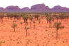 ESCAPADE AUSTRALIENNE