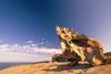 Australie : nature