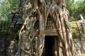 Cambodge-Siem Reap, Circuit Des Temples d'Angkor à l'Ile de Koh Rong