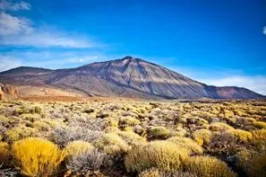 Vacances Tenerife: Circuit Tour Canario