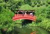 Chine