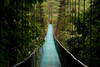 Paysage