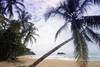 Plage - Trésors du Costa Rica