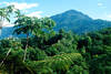 Volcan Arenal