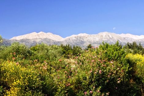 Paysage