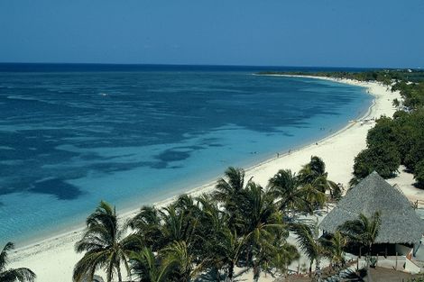 Voyage Cuba, Circuit La Havane : Circuit Couleur Café