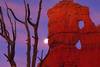 Bryce Canyon