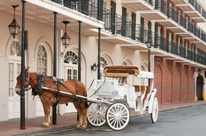 Vacances New Orleans: Circuit De plantations en bayous