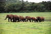 Inde - Cochin, 10 JOURS / 7 NUITS - Circuit Kerala For Ever 3*