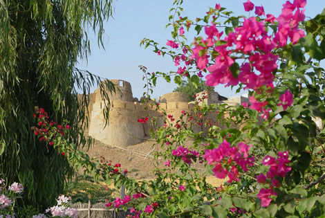 Voyage Inde, Circuit Delhi : Circuit Les incontournables Rajasthan 3*