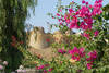 Inde - Delhi, 12 JOURS / 9 NUITS - Circuit Inde 