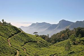 Inde-Madras, Circuit Inoubliables de l'Inde du Sud 2017