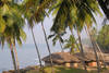 plage - Les splendeurs du Kerala 