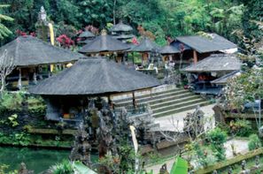 Vacances Denpasar: Circuit De Java à Bali