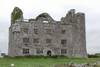 Leamaneagh Castle