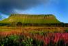 Irlande - Dublin, Circuit Les Deux Irlande 3*