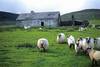 Irlande - Dublin, Circuit Magie d'irlande 3*