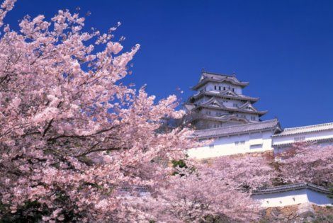 Voyage Japon, Circuit�Osaka : Circuit Japon Autrement