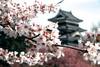 Japon - Tokyo, Circuit Splendeurs du Japon 3*