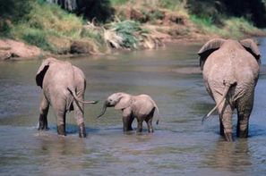 Vacances Nairobi: Circuit Indispensable Kenya