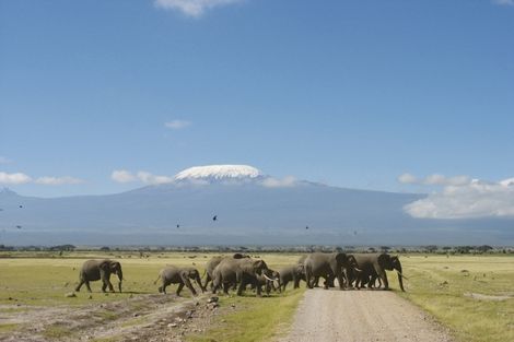 Voyage Kenya, Circuit Nairobi : Circuit Safari Jambo