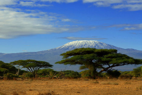 Voyage Kenya, Circuit�Nairobi : Circuit Safari Tandala Mzuri