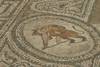 Volubilis