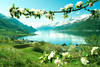 Lofthus et Hardanger Fjord