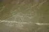 Plateau et dessins de Nazca