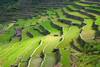 Philippines