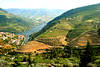 Vallée du Douro