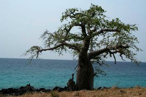 Sao Tome-Sao Tome, Circuit Nature Les chemins des Roças