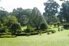 Jardin botanique