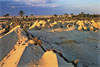 DESERT
